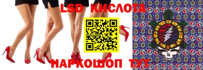шишки Обнинск