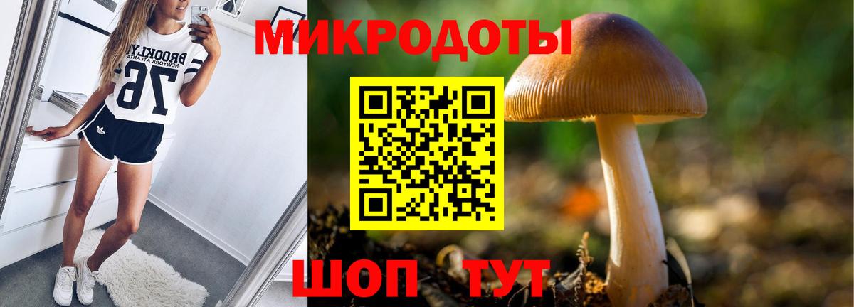 Сорочинск  Псилоцибиновые грибы мицелий  Вход с VPN 